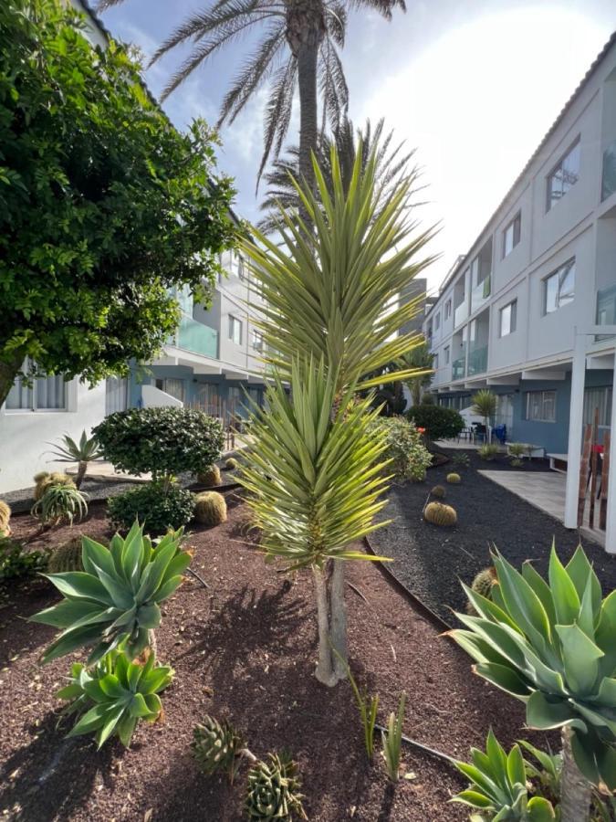 Bristol Terrace Con Giardino Privato Esterno Appartamento Corralejo